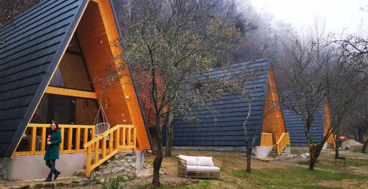 Casa - Cabana Tip A Frame, Cerna, Vaideeni, Valcea Cerna  Esterno foto